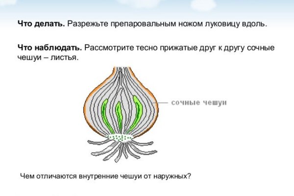 Ссылки кракен телеграф