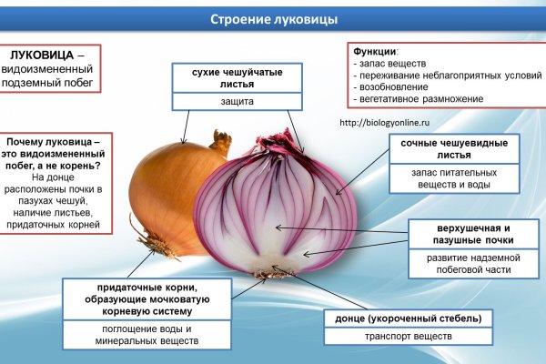 Кракен маркетплейс закрыли