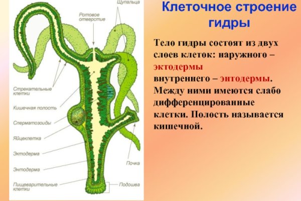 Рабочая ссылка на мега даркнет