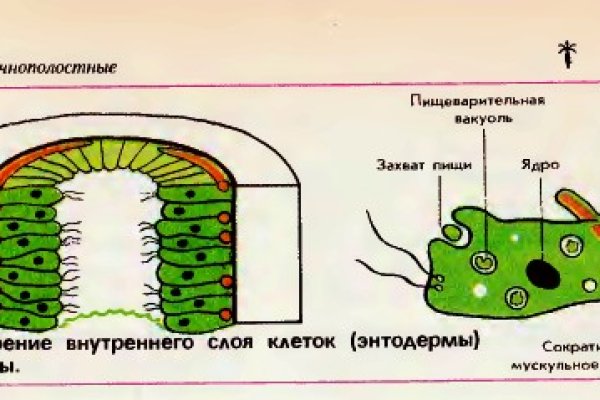 Зеркала крамп онион kramp.cc