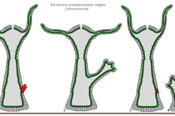 Кракен вход