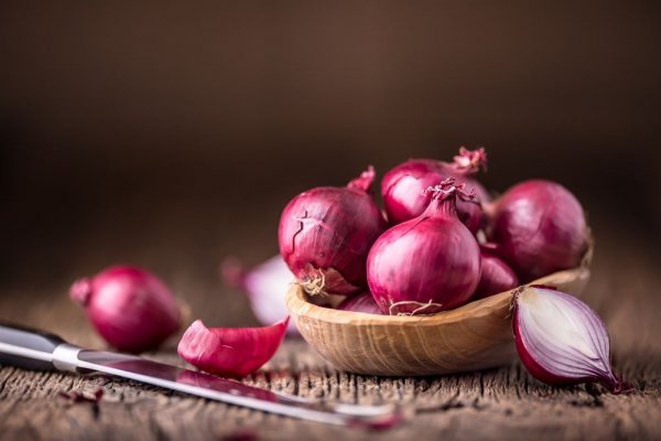 Рабочие ссылки mega onion