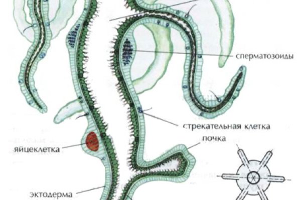 Мега интернет магазин закладки