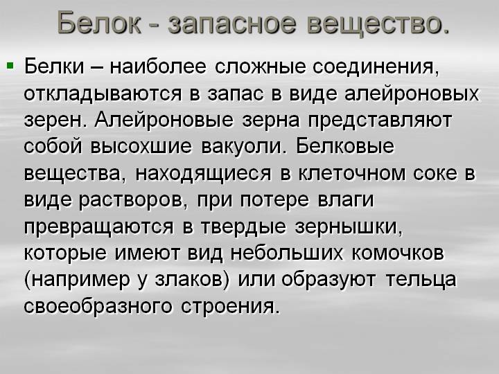 Ссылка на kraken at