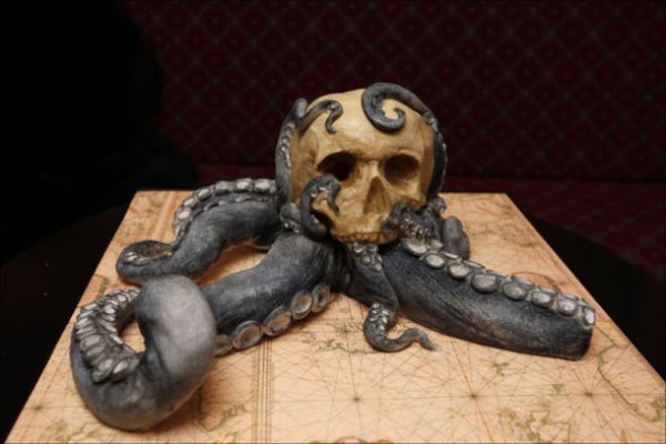 Darknet как войти