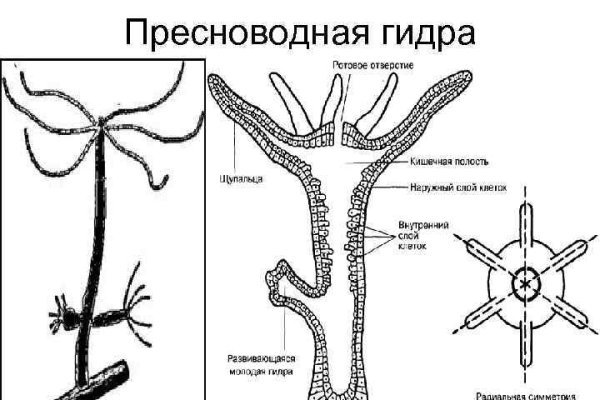 Марихуанна купить