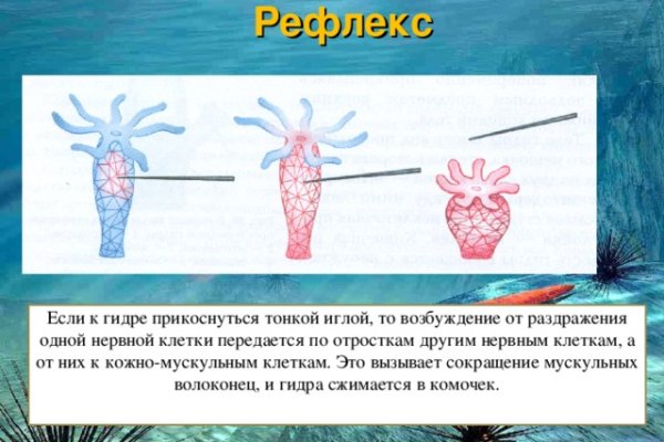 Ссылки в тор